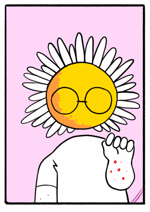 daisy3.19