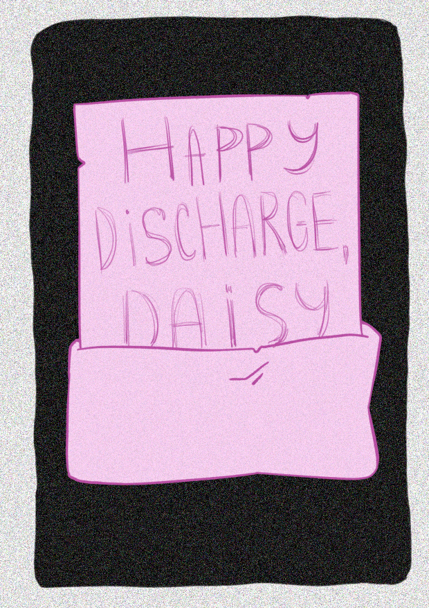 daisy6.5